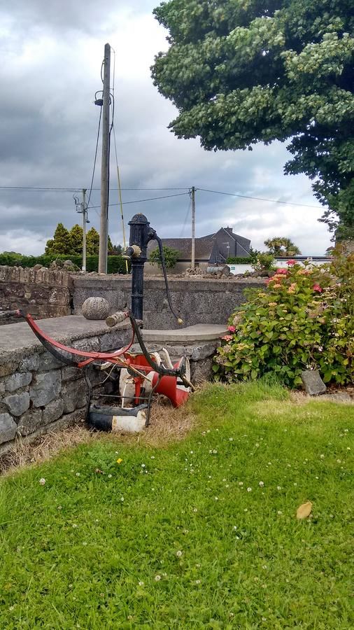 Отели типа «постель и завтрак» Grannagh Castle House Уотерфорд-16