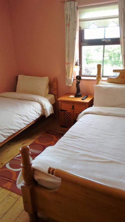 Отели типа «постель и завтрак» Grannagh Castle House Уотерфорд-26